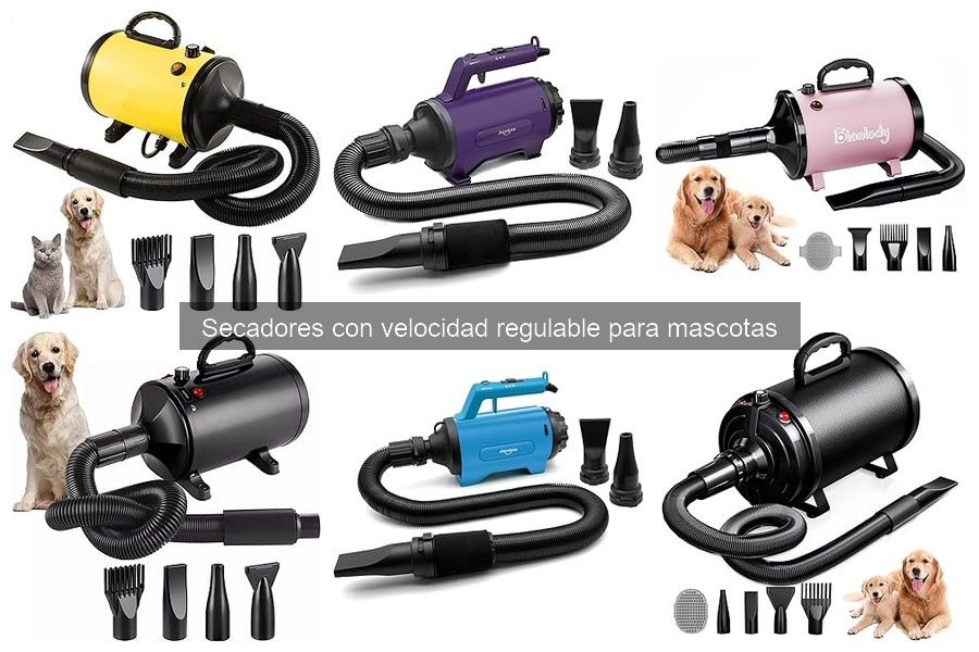 Secadores con Velocidad Regulable para Mascotas: Ventajas y Uso