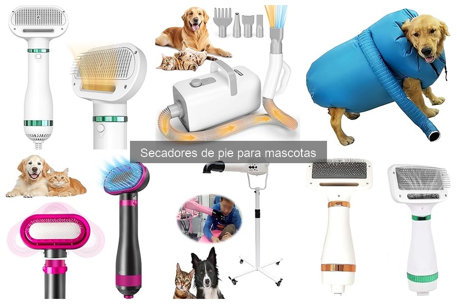 Secadores de pie para mascotas: Pelo largo vs. corto