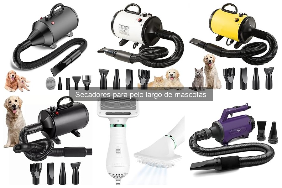 ¿Secadores humanos para perros de pelo largo? Descúbrelo aquí