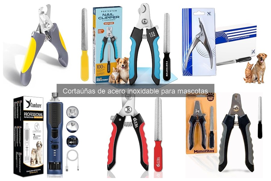 Señales de que las uñas de tu mascota necesitan ser cortadas