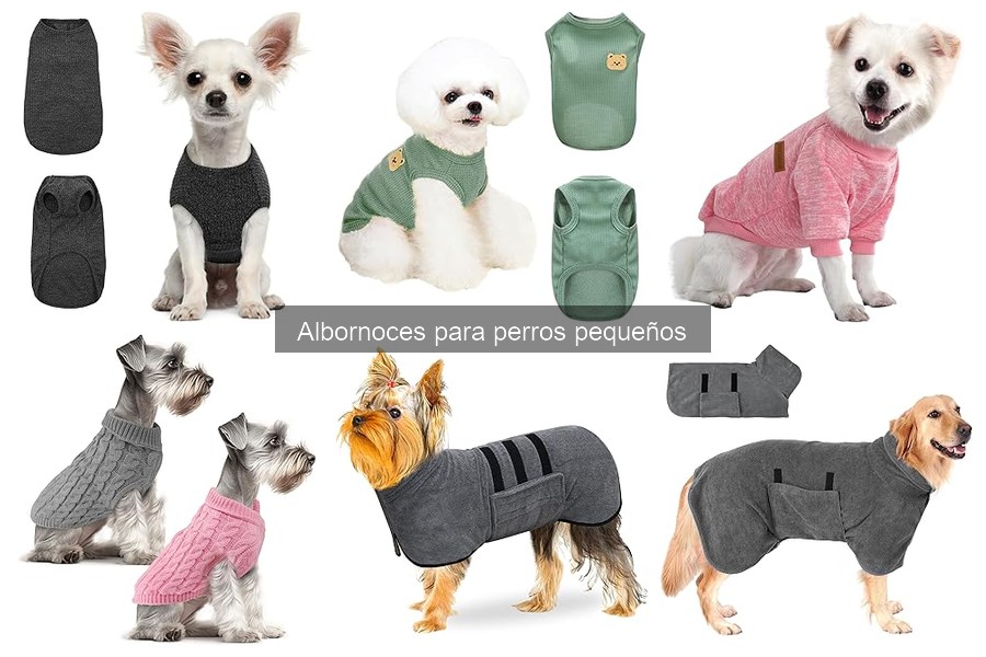 Tamaños de albornoces para perros pequeños: Guía completa