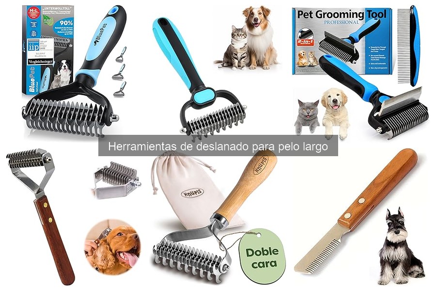 Técnicas para deslanar a tu perro sin dañar su piel