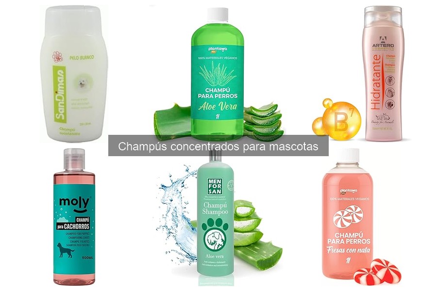 Testimonios de Champús Concentrados para Mascotas