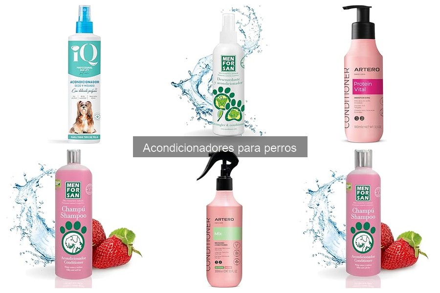 Tipos de acondicionadores para perros: guía completa