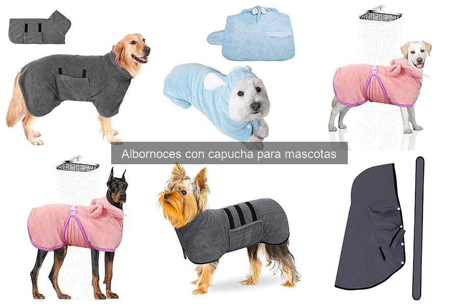 Tipos de albornoces con capucha para mascotas