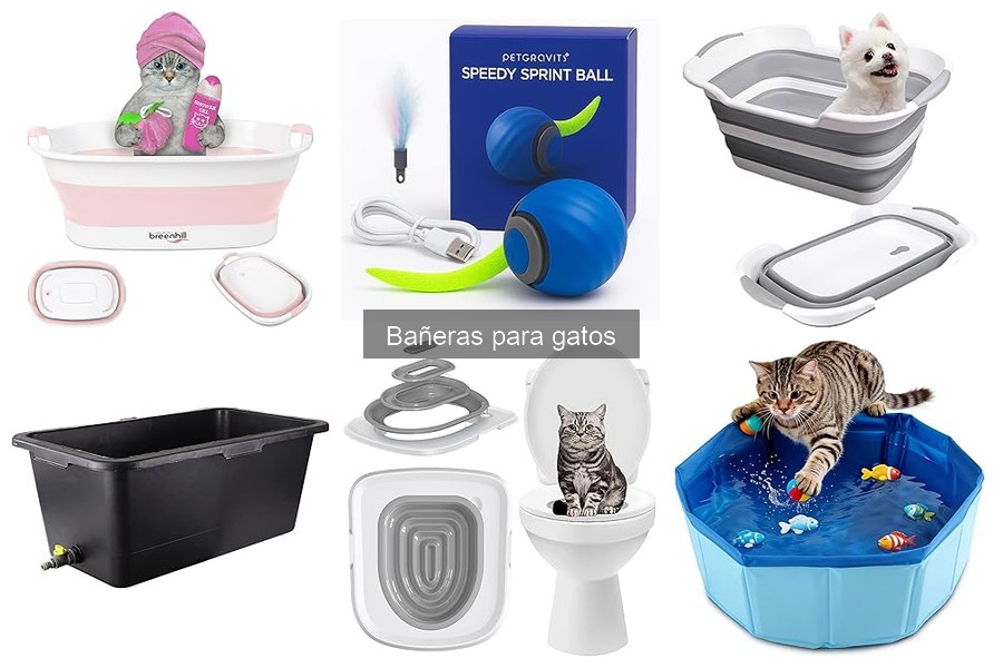 Tipos de bañeras para gatos: opciones y características