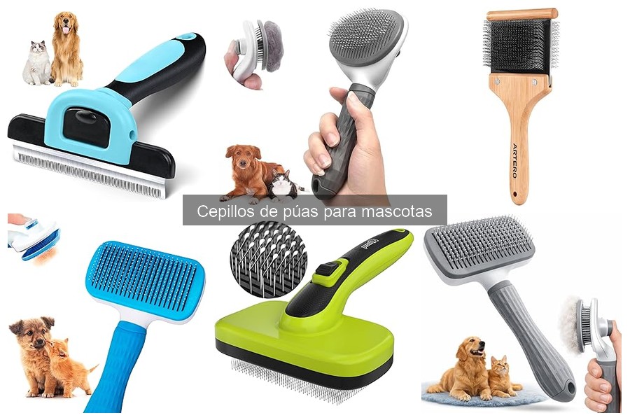 Tipos de cepillos de púas para mascotas: guía completa
