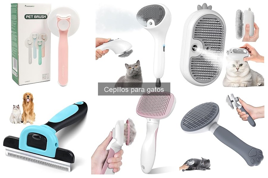 Tipos de cepillos para gatos: guía completa y recomendaciones