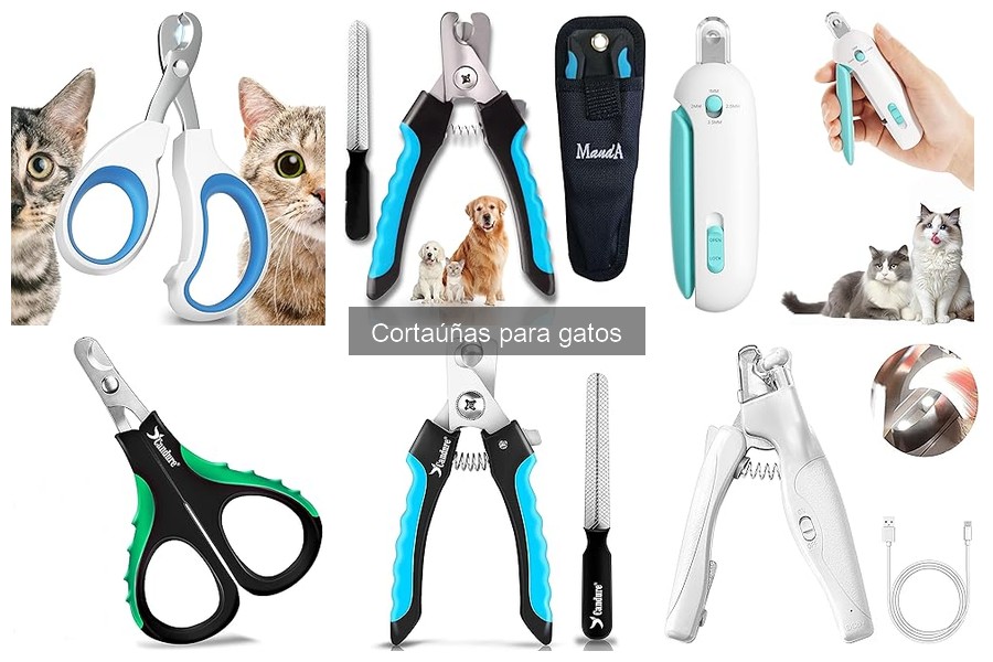 Tipos de cortaúñas para gatos: ¿Cuál elegir?