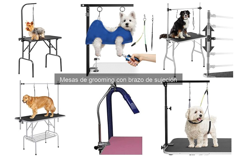 Tipos de mesas de grooming con brazo de sujeción