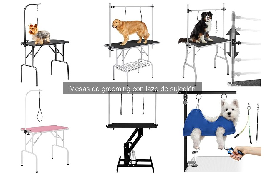 Tipos de mesas de grooming con lazo de sujeción para mascotas