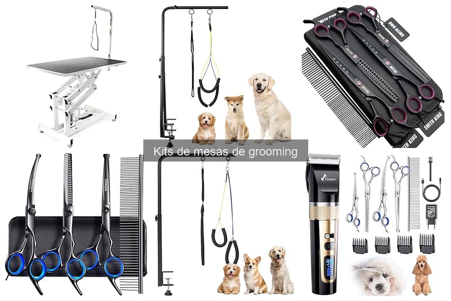 Tipos de mesas de grooming: Guía completa para elegir
