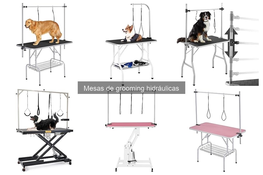 Tipos de mesas de grooming hidráulicas para mascotas
