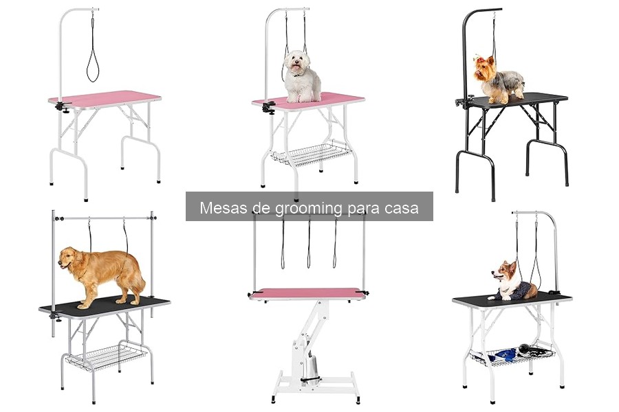 Tipos de mesas de grooming para casa: características esenciales