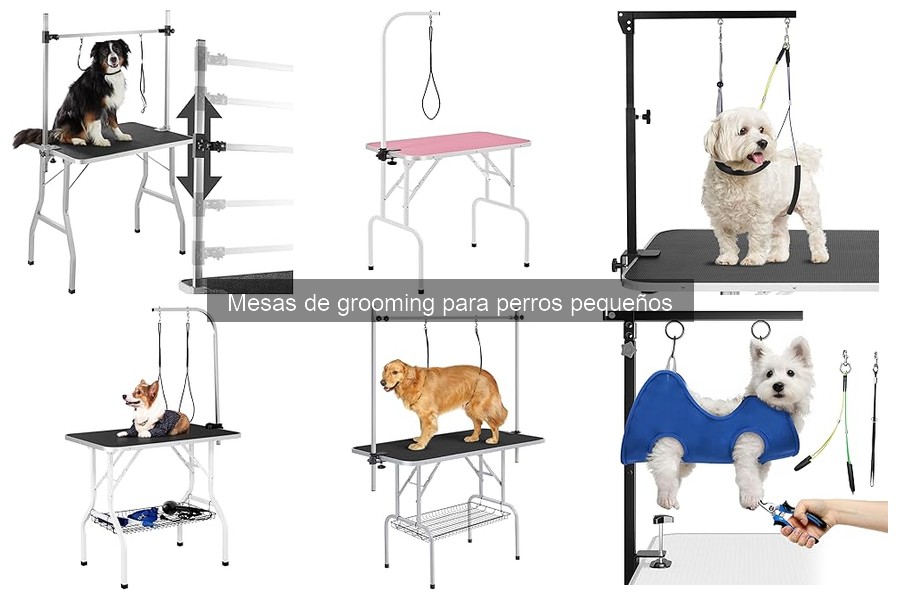 Tipos de mesas de grooming para perros pequeños: ¿Cuál elegir?