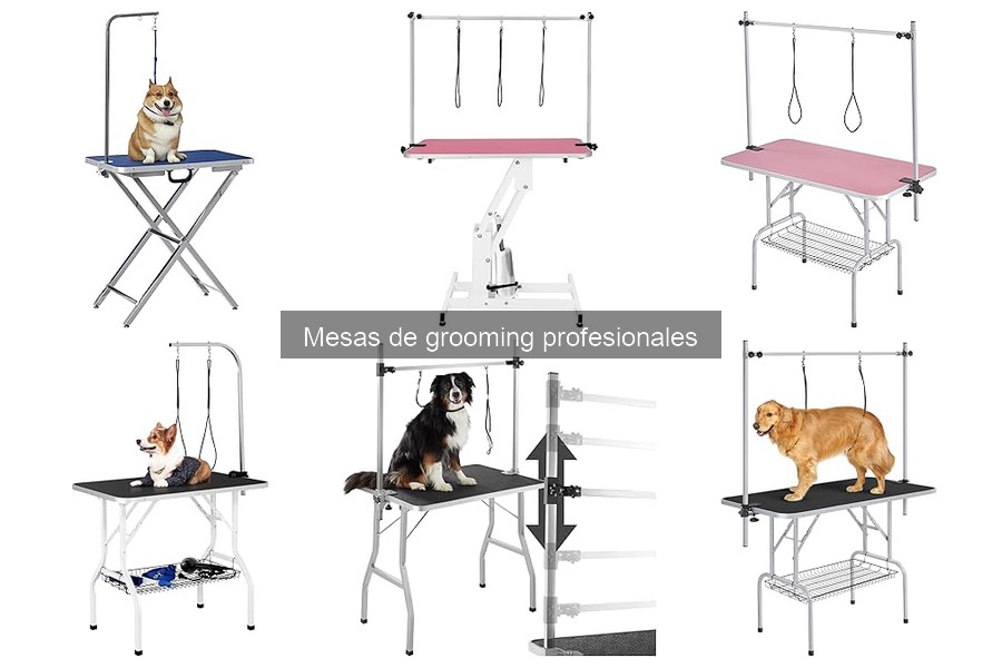 Tipos de mesas de grooming: Plegables, hidráulicas y eléctricas
