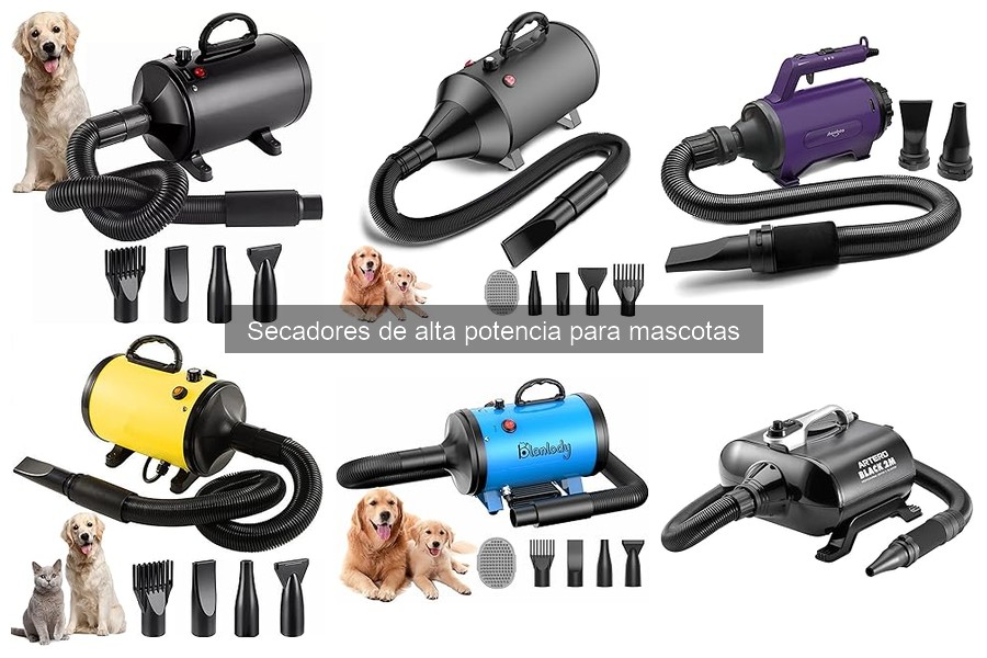 Tipos de secadores de alta potencia para mascotas