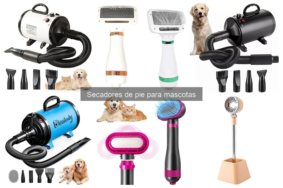 Tipos de secadores de pie para mascotas: Guía completa