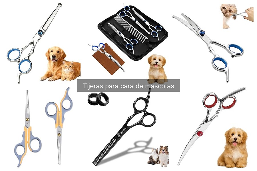 Tipos de tijeras para cara de mascotas: guía de uso