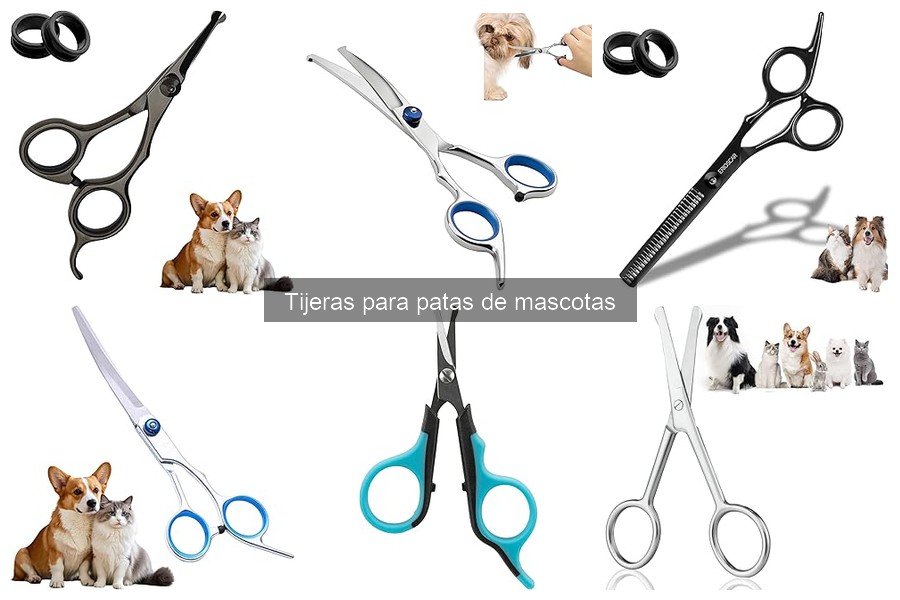 Tipos de tijeras para patas de mascotas: guía práctica