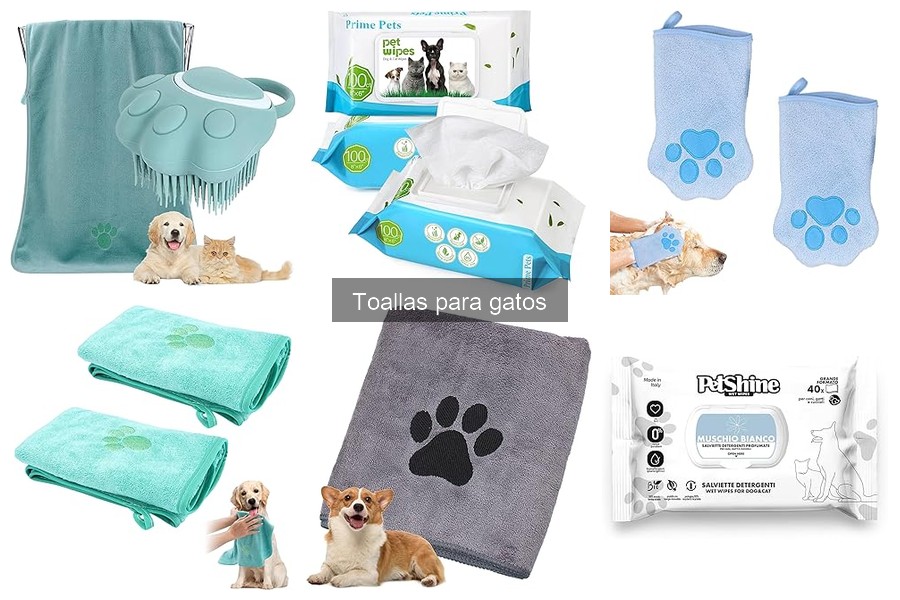Toallas para gatos: ¿Qué son y para qué sirven?