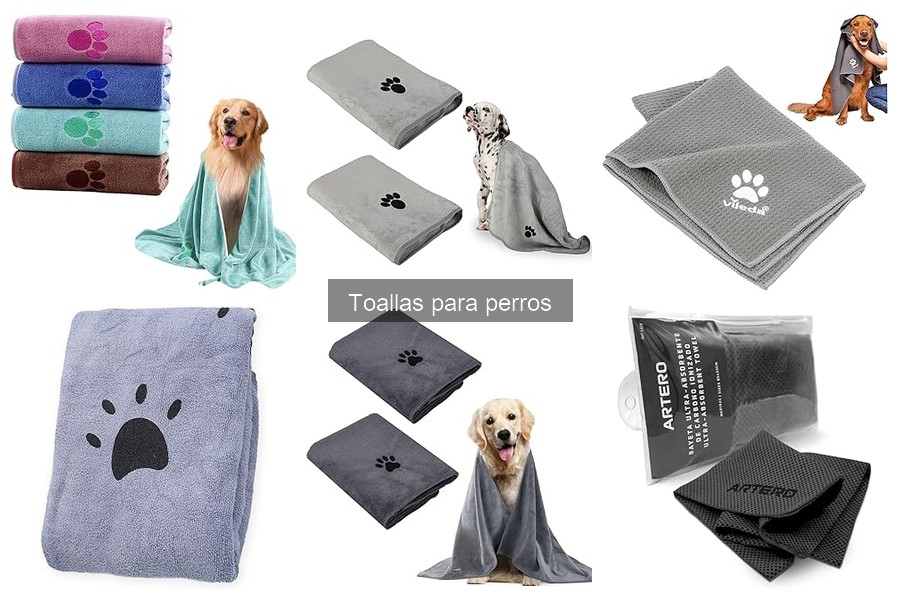Toallas para perros: ¿Qué son y cómo elegir las mejores?