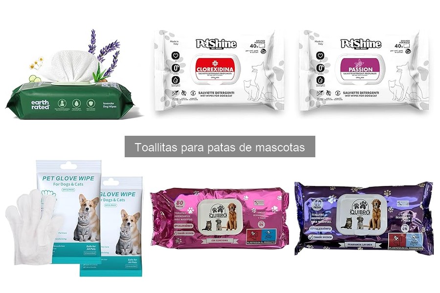 Toallitas para patas de mascotas: ¿Qué son y para qué sirven?