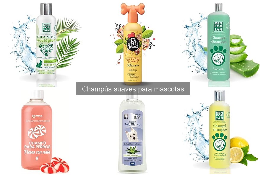 Todo sobre champús suaves para mascotas: Beneficios y uso
