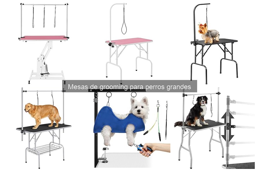 Todo sobre mesas de grooming para perros grandes
