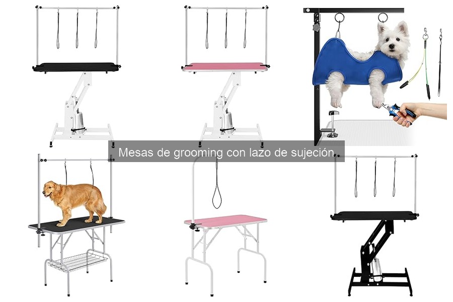 Ventajas de las mesas de grooming con lazo de sujeción