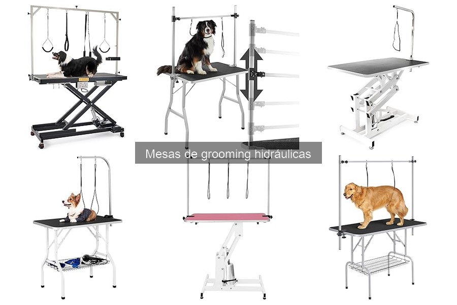 Ventajas de las mesas de grooming hidráulicas para mascotas