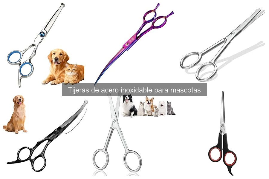 Ventajas de las tijeras de acero inoxidable en grooming