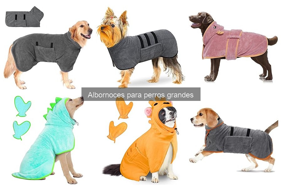Ventajas de los albornoces para perros grandes: ¡Descúbrelas!