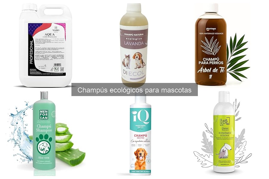 Ventajas de los Champús Ecológicos para Mascotas