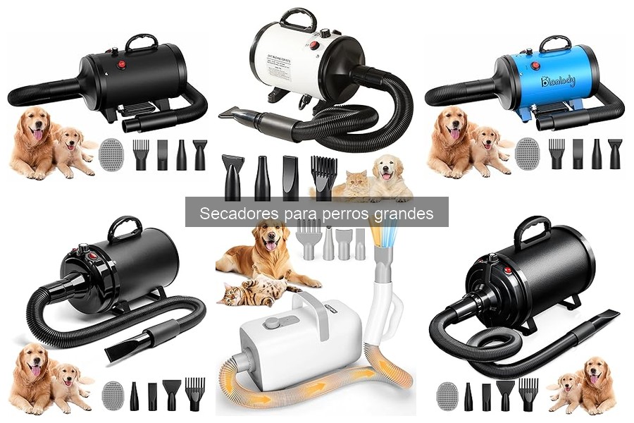 Ventajas de secadores para perros grandes frente a toallas