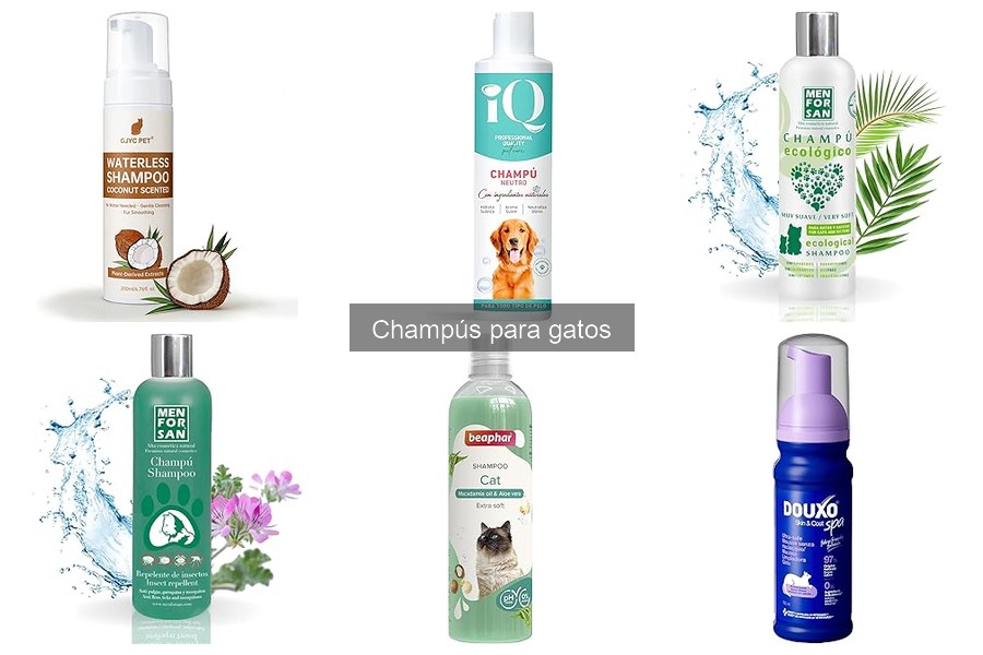 Ventajas de usar champús naturales para gatos