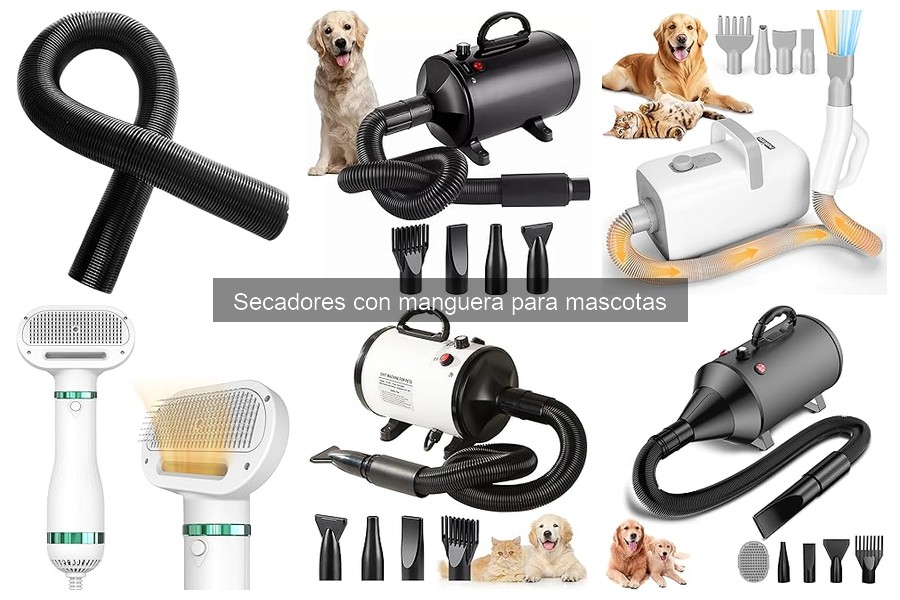 Ventajas de usar un secador con manguera para mascotas