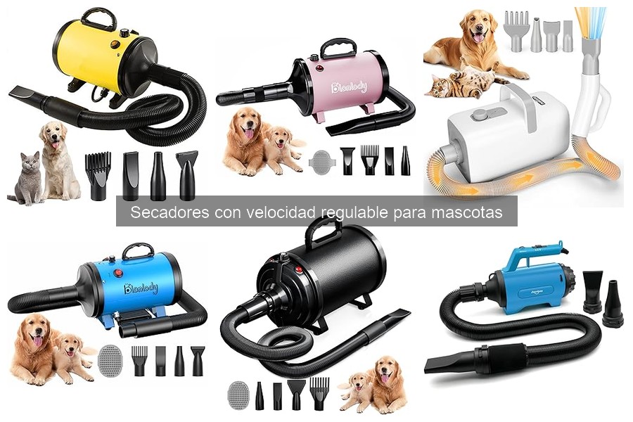 Ventajas de usar un secador de velocidad regulable para mascotas
