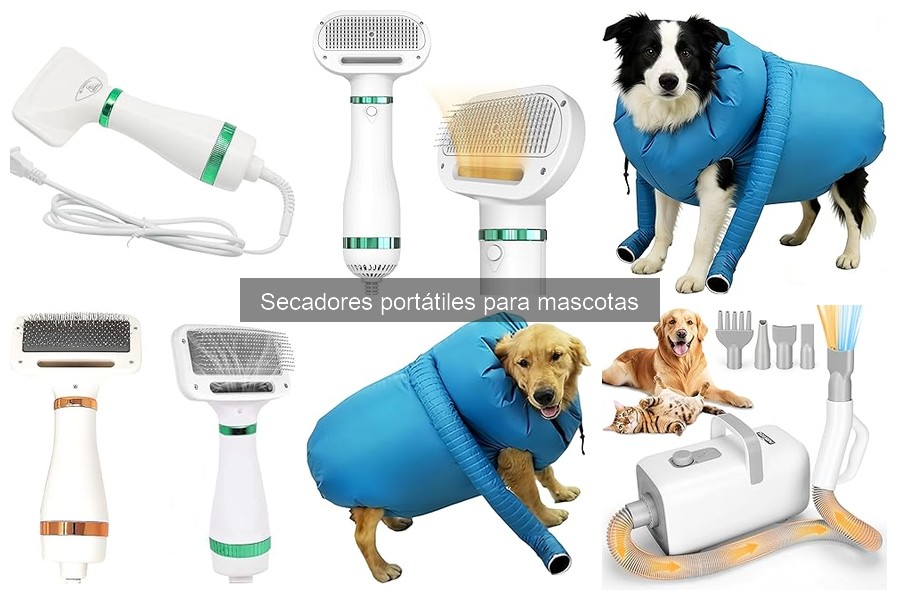Ventajas del secador portátil para mascotas en casa