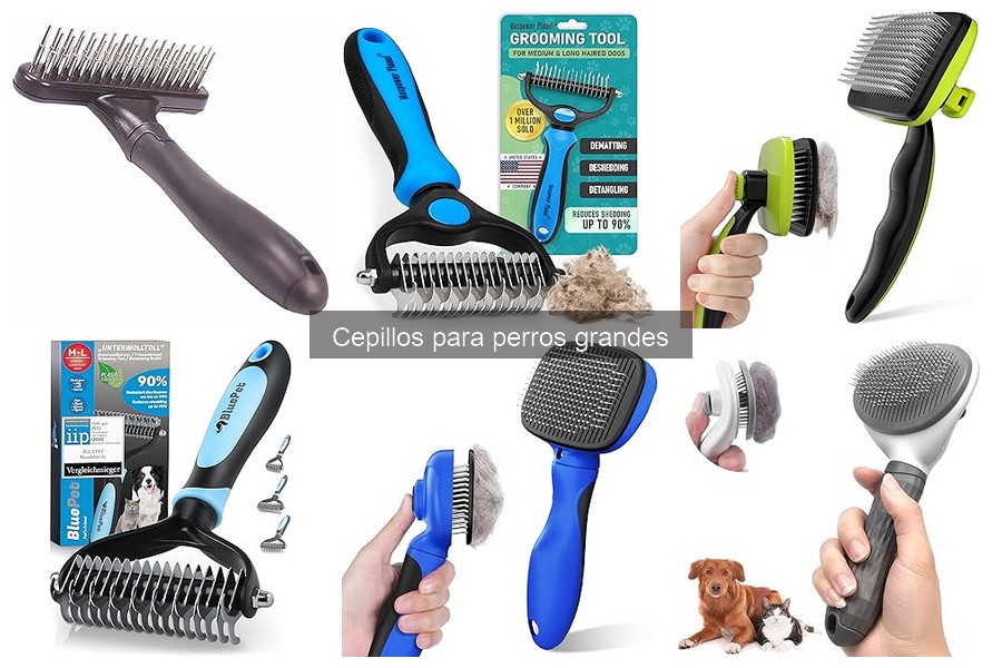 Ventajas y desventajas de cepillos para perros grandes