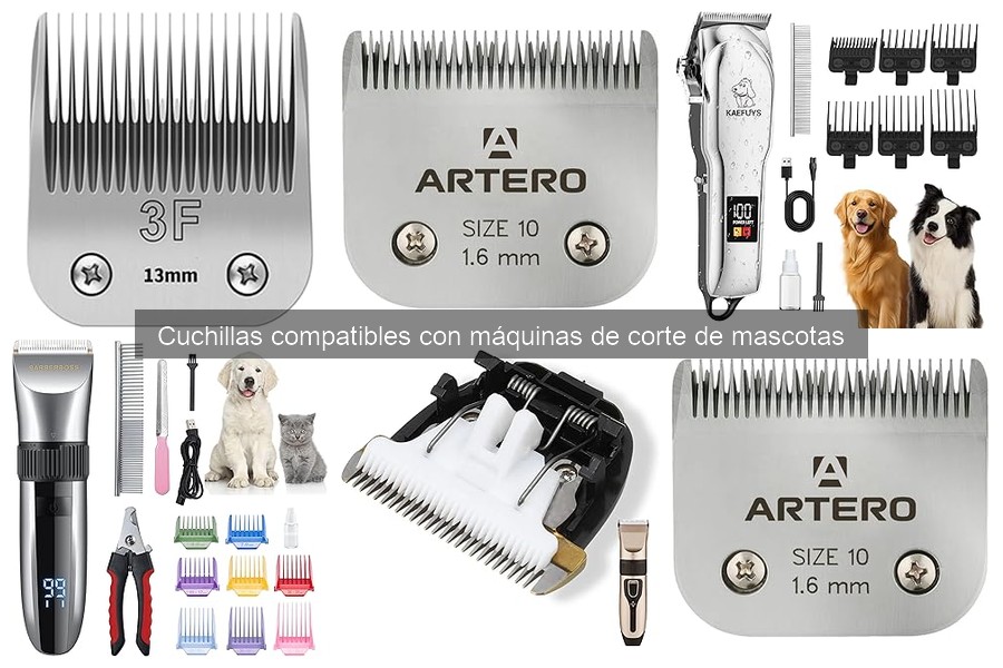 Ventajas y desventajas de cuchillas de acero inoxidable y cerámica