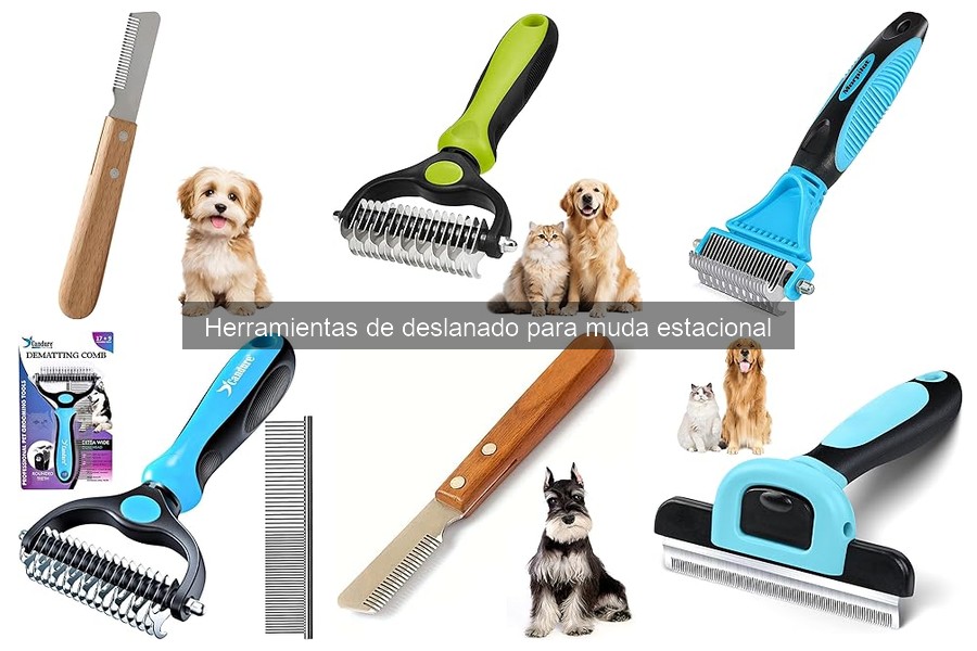 Ventajas y desventajas de las herramientas de deslanado eléctricas