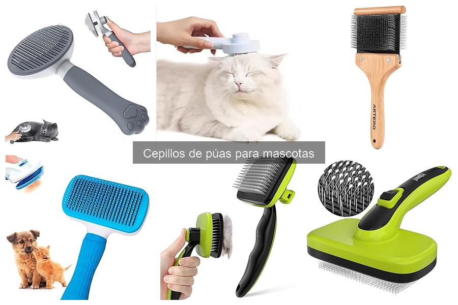 Ventajas y Desventajas de los Cepillos de Púas para Mascotas