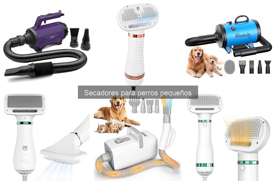 Ventajas y desventajas de los secadores para perros pequeños