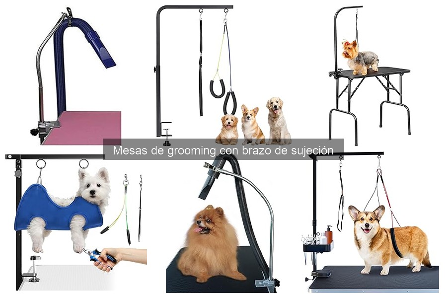 Ventajas y desventajas de mesas de grooming con brazo de sujeción