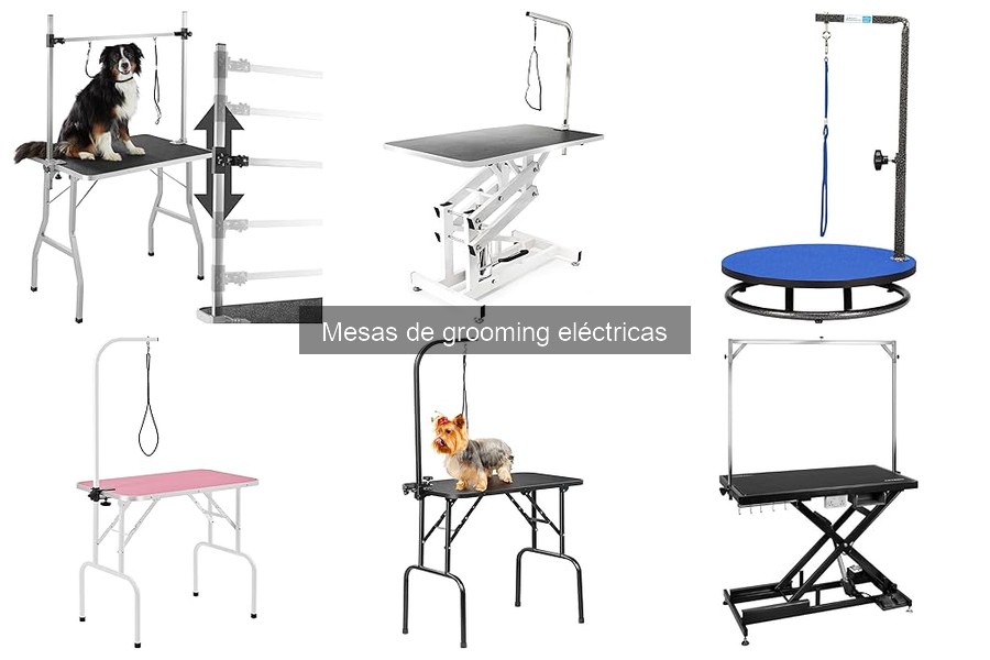 Ventajas y Desventajas de Mesas de Grooming Eléctricas