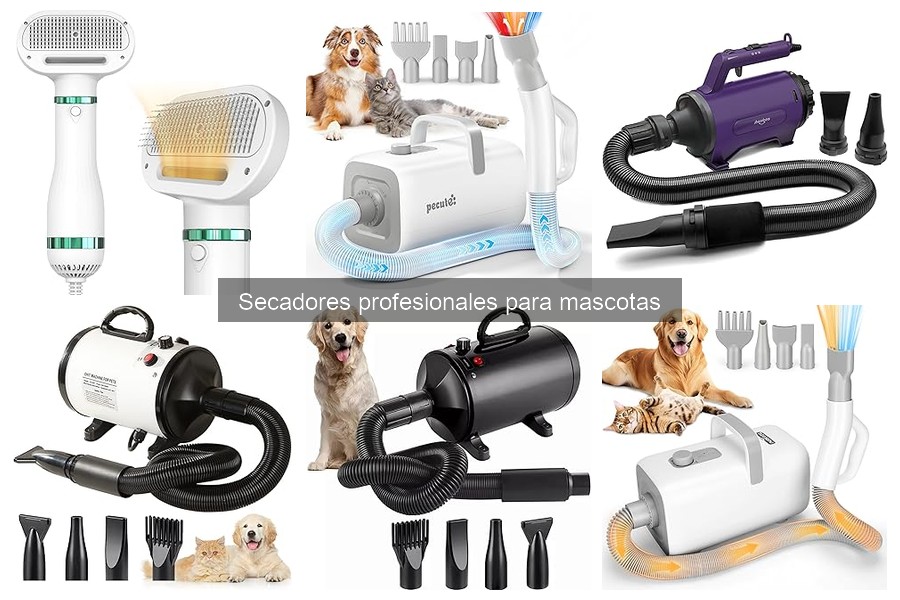 Ventajas y Desventajas de Secadores Profesionales para Mascotas