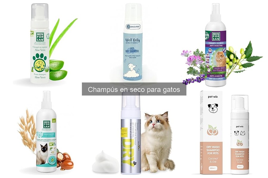Ventajas y Desventajas del Champú en Seco para Gatos